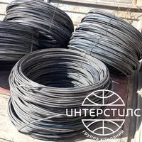 Стальная пружинная проволока 0.2 мм купить в Иркутске